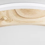 Потолочный светильник RGB круглый светодиодный с пультом Citilux Enzo CL753352G (220V, круглые)