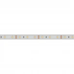 Светодиодная лента Arlight RTW 2-5000PS 021099