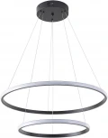 Подвесной светильник Zortes Ringolight ZRS.33321.63C (LED, 220V, на тросе)