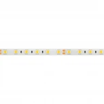 Светодиодная лента герметичная RTW-SE-B60-10mm 24V Day4000 (14.4 W/m, IP65, 5060, 5m) (Arlight) 015455(2)