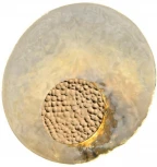 Настенный светильник Aployt Eugenia APL.336.11.07 (LED, 220V, круглые)