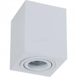 Накладной потолочный светильник Atom GU10 1x50Вт Maytoni Technical C017CL-01W (220V)