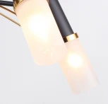 Потолочная люстра F-Promo Viator 2558-5P (220V)