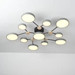 Потолочная люстра с пультом на штанге LED Lu Carte LC-11-1719