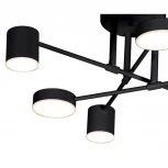 Потолочная люстра на штанге LED Lu Carte Assanta LC-22-0131