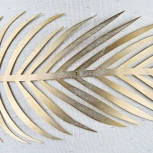 Бра Maytoni Farn H428-WL-01-WG (220V, листья)