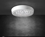 Настенно-потолочный светильник Seven Fires Лусон 45011.25.18.64