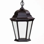 Уличный светильник подвесной Oasis Light 91405L Bl (220V, на цепи, IP44)