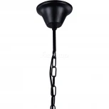 Подвесная люстра Favourite Mesh 1783-1P (220V, на цепи)