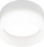 Точечный светильник ЭРА OL30 WH (220V)