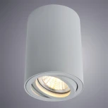 Накладной точечный светильник Arte Lamp Sentry A1560PL-1GY