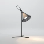 Настольная лампа Eurosvet Enigma 01186/1