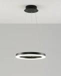 Подвесной светильник светодиодный V1751-PL Bona LED*50W