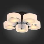 Потолочная люстра ST Luce Foresta SL483.402.05