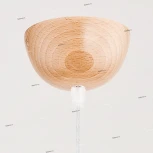 Подвесной светильник Alfa Anja 9649