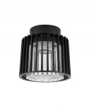 Потолочный светильник уличный Oasis Light UNITE 3975 Bl (220V, IP54)