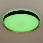 Потолочный светильник RGB круглый светодиодный с пультом Citilux Boss CL751451G (220V, круглые)