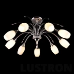 Потолочная люстра Eurosvet 22080 22080/9 хром