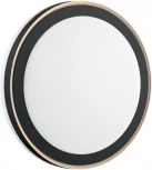 Настенно-потолочный светильник Akuna 7620/DL (регулировка яркости, LED, 220V, пульт управления, круглые, IP43)