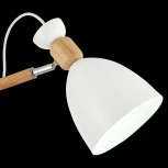 Потолочная люстра Evoluce Balcamo SLE103802-03 (220V)