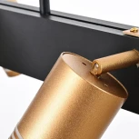 Потолочная люстра на штанге Favourite Six 4074-6P (220V)