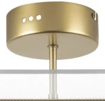 Потолочная люстра на штанге Lightstar Acrile 738043 (LED, 220V)