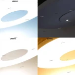 Настенно-потолочный светильник Globo Felion 41333