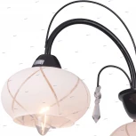 Потолочная люстра Toplight Roberta TL3700X-03BC