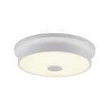 Настенно-потолочный светильник Citilux Фостер-2 CL706220