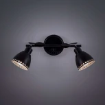 Спот Citilux Робуста CL509522