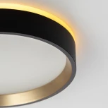 Настенно-потолочный светильник с подсветкой Черный+Золото Citilux Etalon CL750181 (LED, 220V, круглые, IP40)