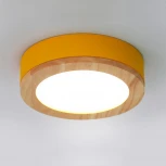 Потолочный светильник круглый Wudda D40 Желтый ImperiumLoft Wudda01 (179765-26) (LED, 220V, круглые)