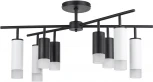 Люстра потолочная на штанге Rullo LR7283748641 (571728+214437-4+214486-4+202431-8) Lightstar (220V)