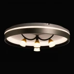 Потолочный светильник круглый De City Норден 660014901 (регулировка яркости, LED, 220V, пульт управления, круглые)