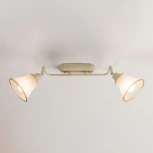 Спот на штанге Citilux Прованс CL511524 (220V)