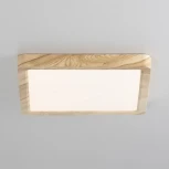 Настенно-потолочный светильник Citilux Бейсик CL738K182V (регулировка яркости, LED, 220V, IP40)