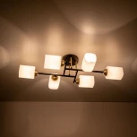 Потолочная люстра на штанге Citilux Генри CL130265 (220V)