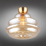 Потолочная люстра Aployt Liana APL.303.17.01 (220V, круглые)