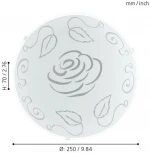 Настенно-потолочный светильник Eglo Mars 1 89238 (220V, розы)