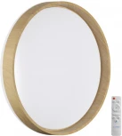 Настенно-потолочный светильник Sonex Gari Wood 7684/EL BASICA SN пластик/кор. под дер. LED 70Вт 3000-6000K D490 IP43 пульт ДУ