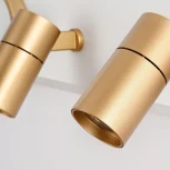 Натенно-потолочный светильник Favourite Planar 4075-2C (LED, 220V, пульт управления)