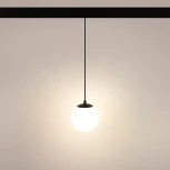 Трековый светильник магнитный светодиодный MAG-ORIENT-SFERO-HANG-R150-10W Warm3000 (BK, 300 deg, 48V) (Arlight, IP20 Металл) 036049