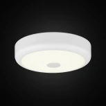 Настенно-потолочный светильник Citilux Фостер-1 CL706120