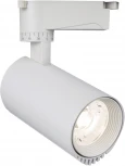 Трековый светильник светодиодный 20031 20031TRA/03 LED 30W 4200K белый матовый (220V, круглые)