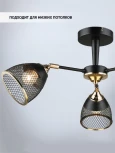 Потолочная люстра Wedo Light Aniko WD3637/3C-BK-FGD-BK