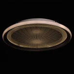 Потолочная люстра DeMarkt Норден 660013901 (LED, 220V, пульт управления, круглые)