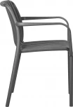 Стул обеденный DOBRIN WALTER ARM (темно-серый (GR-04))