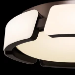 Потолочный светильник Freya Ethan FR6041CL-L92W