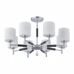 Потолочная люстра на штанге Arte Milano Napoli-2220 332220/8 CR