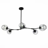 Потолочная люстра Evoluce Rametto SLE154843-05